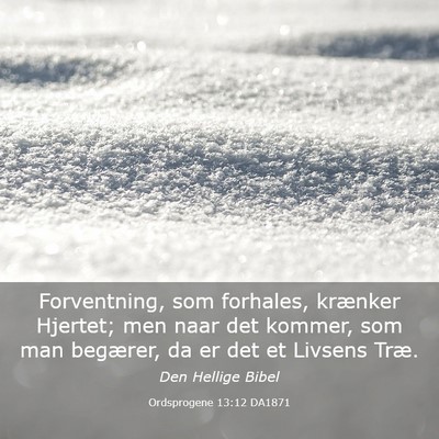 Picture 03 - Ordsprogene 13:12 DA1871 - Forventning, som forhales, krænker Hjertet; men - Bible Verse Picture