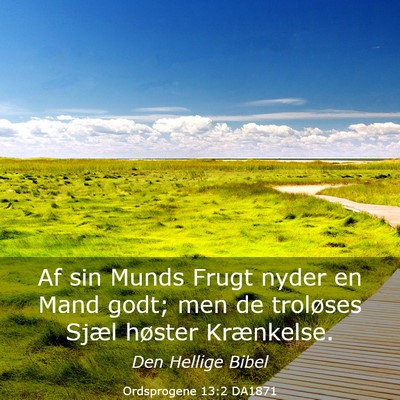 Picture 03 - Ordsprogene 13:2 DA1871 - Af sin Munds Frugt nyder en Mand godt; men de - Bible Verse Picture