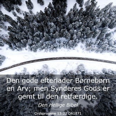 Picture 03 - Ordsprogene 13:22 DA1871 - Den gode efterlader Børnebørn en Arv; men - Bible Verse Picture
