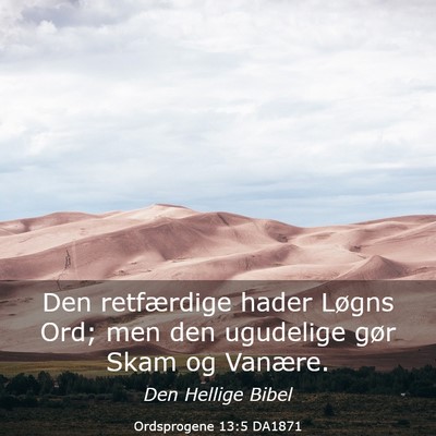 Picture 03 - Ordsprogene 13:5 DA1871 - Den retfærdige hader Løgns Ord; men den - Bible Verse Picture