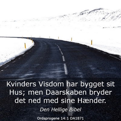 Picture 03 - Ordsprogene 14:1 DA1871 - Kvinders Visdom har bygget sit Hus; men - Bible Verse Picture