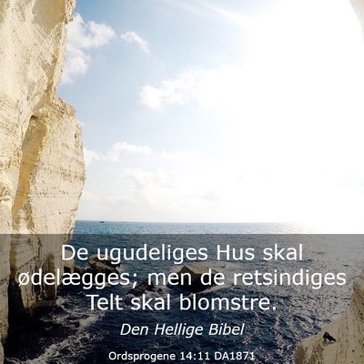 Picture 03 - Ordsprogene 14:11 DA1871 - De ugudeliges Hus skal ødelægges; men de - Bible Verse Picture