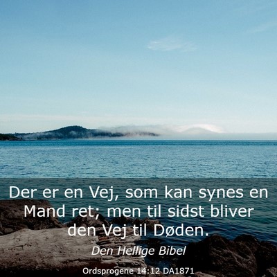 Picture 03 - Ordsprogene 14:12 DA1871 - Der er en Vej, som kan synes en Mand ret; men til - Bible Verse Picture