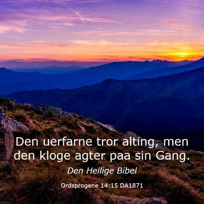 Picture 03 - Ordsprogene 14:15 DA1871 - Den uerfarne tror alting, men den kloge agter paa - Bible Verse Picture