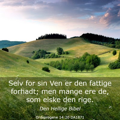 Picture 03 - Ordsprogene 14:20 DA1871 - Selv for sin Ven er den fattige forhadt; men - Bible Verse Picture