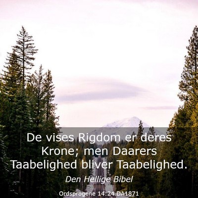 Picture 03 - Ordsprogene 14:24 DA1871 - De vises Rigdom er deres Krone; men Daarers - Bible Verse Picture