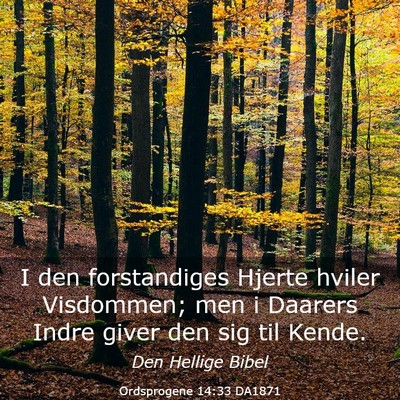 Picture 03 - Ordsprogene 14:33 DA1871 - I den forstandiges Hjerte hviler Visdommen; men i - Bible Verse Picture