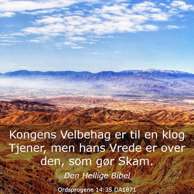 Picture 03 - Ordsprogene 14:35 DA1871 - Kongens Velbehag er til en klog Tjener, men hans - Bible Verse Picture