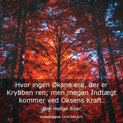 Picture 03 - Ordsprogene 14:4 DA1871 - Hvor ingen Øksne ere, der er Krybben ren; men - Bible Verse Picture