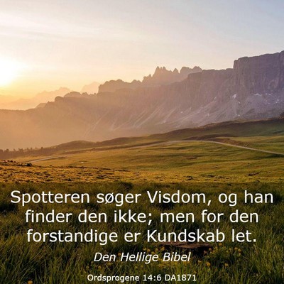 Picture 03 - Ordsprogene 14:6 DA1871 - Spotteren søger Visdom, og han finder den ikke; - Bible Verse Picture