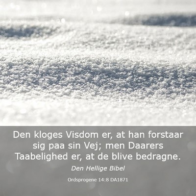 Picture 03 - Ordsprogene 14:8 DA1871 - Den kloges Visdom er, at han forstaar sig paa sin - Bible Verse Picture