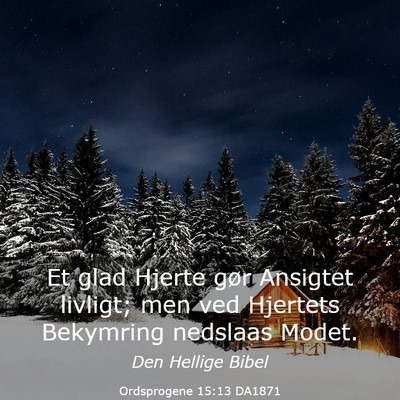 Picture 03 - Ordsprogene 15:13 DA1871 - Et glad Hjerte gør Ansigtet livligt; men ved - Bible Verse Picture