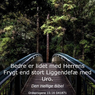 Picture 03 - Ordsprogene 15:16 DA1871 - Bedre er lidet med Herrens Frygt end stort - Bible Verse Picture