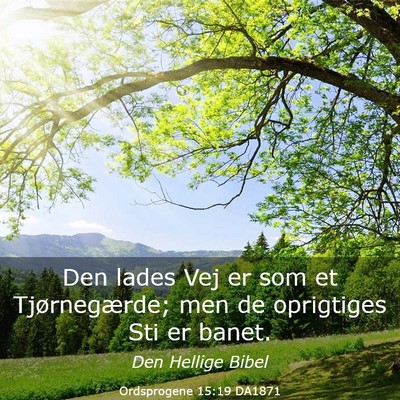 Picture 03 - Ordsprogene 15:19 DA1871 - Den lades Vej er som et Tjørnegærde; men de - Bible Verse Picture