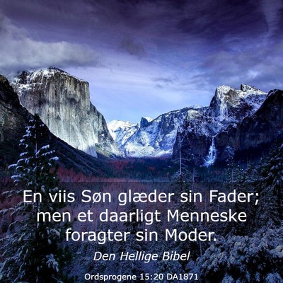 Picture 03 - Ordsprogene 15:20 DA1871 - En viis Søn glæder sin Fader; men et daarligt - Bible Verse Picture