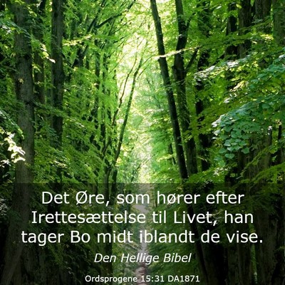 Picture 03 - Ordsprogene 15:31 DA1871 - Det Øre, som hører efter Irettesættelse til - Bible Verse Picture