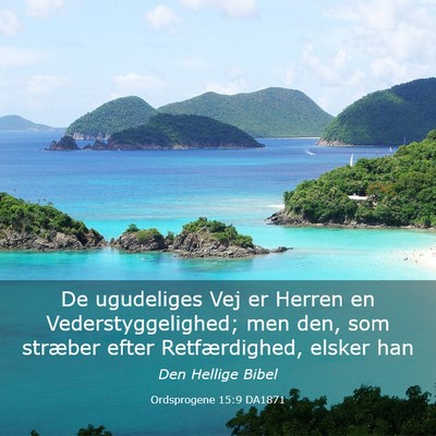 Picture 03 - Ordsprogene 15:9 DA1871 - De ugudeliges Vej er Herren en Vederstyggelighed; - Bible Verse Picture