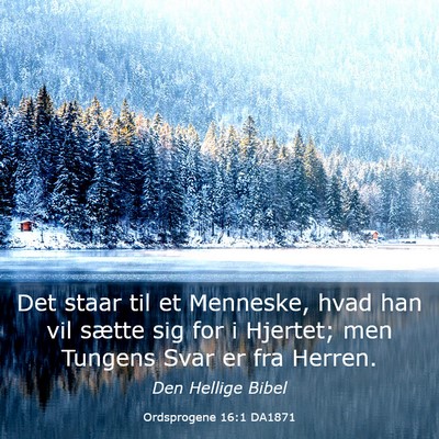 Picture 03 - Ordsprogene 16:1 DA1871 - Det staar til et Menneske, hvad han vil sætte - Bible Verse Picture