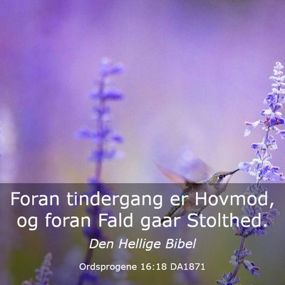 Picture 03 - Ordsprogene 16:18 DA1871 - Foran tindergang er Hovmod, og foran Fald gaar - Bible Verse Picture