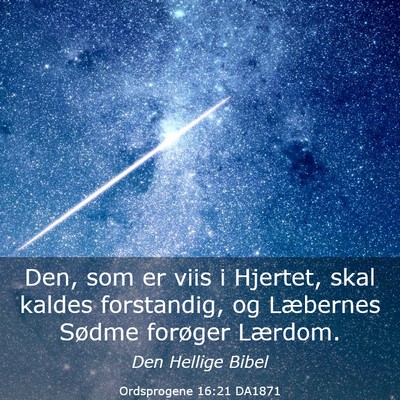 Picture 03 - Ordsprogene 16:21 DA1871 - Den, som er viis i Hjertet, skal kaldes - Bible Verse Picture