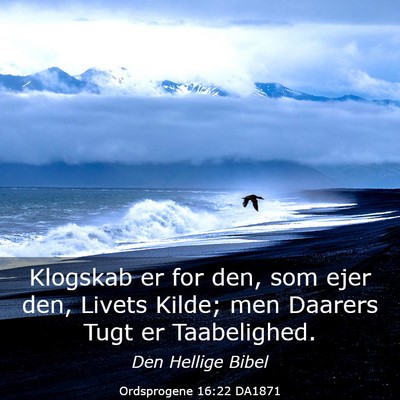 Picture 03 - Ordsprogene 16:22 DA1871 - Klogskab er for den, som ejer den, Livets Kilde; - Bible Verse Picture