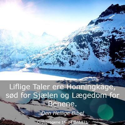 Picture 03 - Ordsprogene 16:24 DA1871 - Liflige Taler ere Honningkage, sød for Sjælen - Bible Verse Picture