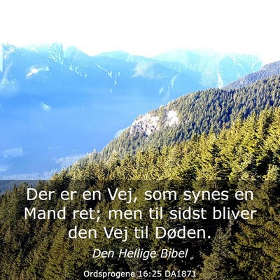 Picture 03 - Ordsprogene 16:25 DA1871 - Der er en Vej, som synes en Mand ret; men til - Bible Verse Picture
