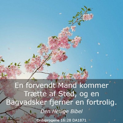 Picture 03 - Ordsprogene 16:28 DA1871 - En forvendt Mand kommer Trætte af Sted, og en - Bible Verse Picture