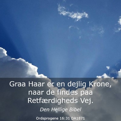 Picture 03 - Ordsprogene 16:31 DA1871 - Graa Haar er en dejlig Krone, naar de findes paa - Bible Verse Picture