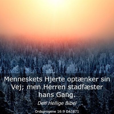 Picture 03 - Ordsprogene 16:9 DA1871 - Menneskets Hjerte optænker sin Vej; men Herren - Bible Verse Picture