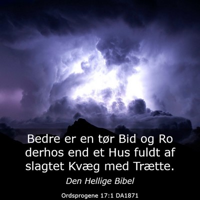 Picture 03 - Ordsprogene 17:1 DA1871 - Bedre er en tør Bid og Ro derhos end et Hus - Bible Verse Picture