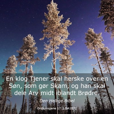 Picture 03 - Ordsprogene 17:2 DA1871 - En klog Tjener skal herske over en Søn, som gør - Bible Verse Picture