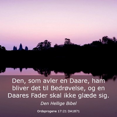 Picture 03 - Ordsprogene 17:21 DA1871 - Den, som avler en Daare, ham bliver det til - Bible Verse Picture