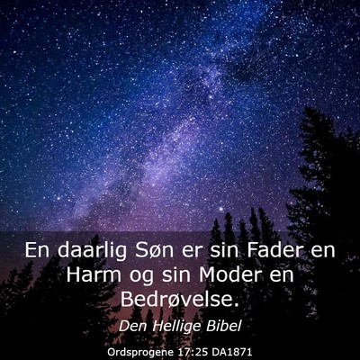 Picture 03 - Ordsprogene 17:25 DA1871 - En daarlig Søn er sin Fader en Harm og sin Moder - Bible Verse Picture