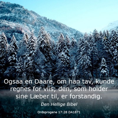 Picture 03 - Ordsprogene 17:28 DA1871 - Ogsaa en Daare, om han tav, kunde regnes for - Bible Verse Picture