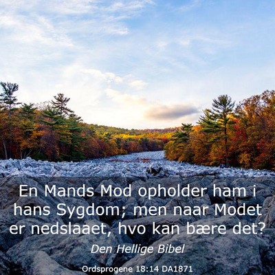 Picture 03 - Ordsprogene 18:14 DA1871 - En Mands Mod opholder ham i hans Sygdom; men naar - Bible Verse Picture
