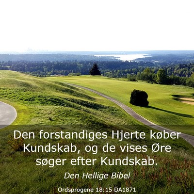 Picture 03 - Ordsprogene 18:15 DA1871 - Den forstandiges Hjerte køber Kundskab, og de - Bible Verse Picture
