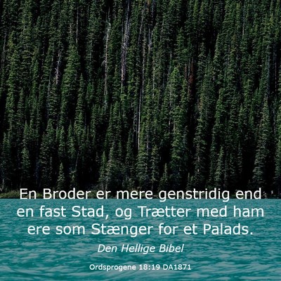 Picture 03 - Ordsprogene 18:19 DA1871 - En Broder er mere genstridig end en fast Stad, og - Bible Verse Picture