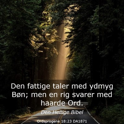 Picture 03 - Ordsprogene 18:23 DA1871 - Den fattige taler med ydmyg Bøn; men en rig - Bible Verse Picture