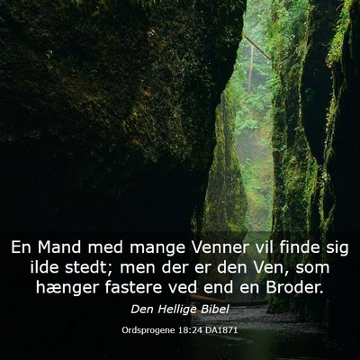 Picture 03 - Ordsprogene 18:24 DA1871 - En Mand med mange Venner vil finde sig ilde - Bible Verse Picture