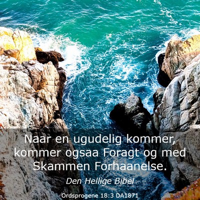 Picture 03 - Ordsprogene 18:3 DA1871 - Naar en ugudelig kommer, kommer ogsaa Foragt og - Bible Verse Picture