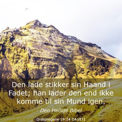 Picture 03 - Ordsprogene 19:24 DA1871 - Den lade stikker sin Haand i Fadet; han lader den - Bible Verse Picture