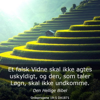 Picture 03 - Ordsprogene 19:5 DA1871 - Et falsk Vidne skal ikke agtes uskyldigt, og den, - Bible Verse Picture