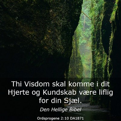 Picture 03 - Ordsprogene 2:10 DA1871 - Thi Visdom skal komme i dit Hjerte og Kundskab - Bible Verse Picture