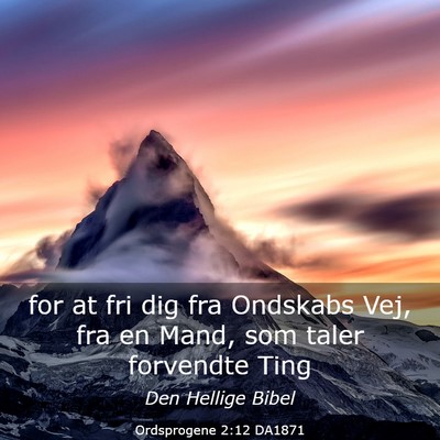 Picture 03 - Ordsprogene 2:12 DA1871 - for at fri dig fra Ondskabs Vej, fra en Mand, som - Bible Verse Picture