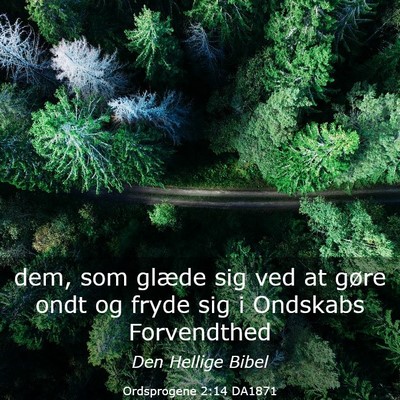 Picture 03 - Ordsprogene 2:14 DA1871 - dem, som glæde sig ved at gøre ondt og fryde - Bible Verse Picture