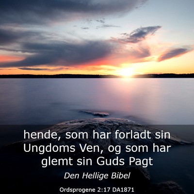 Picture 03 - Ordsprogene 2:17 DA1871 - hende, som har forladt sin Ungdoms Ven, og som - Bible Verse Picture