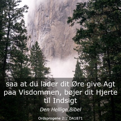 Picture 03 - Ordsprogene 2:2 DA1871 - saa at du lader dit Øre give Agt paa Visdommen, - Bible Verse Picture