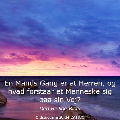 Picture 03 - Ordsprogene 20:24 DA1871 - En Mands Gang er at Herren, og hvad forstaar et - Bible Verse Picture