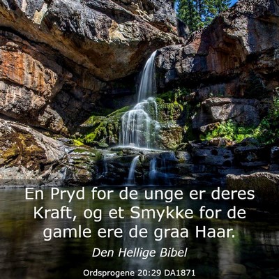 Picture 03 - Ordsprogene 20:29 DA1871 - En Pryd for de unge er deres Kraft, og et Smykke - Bible Verse Picture